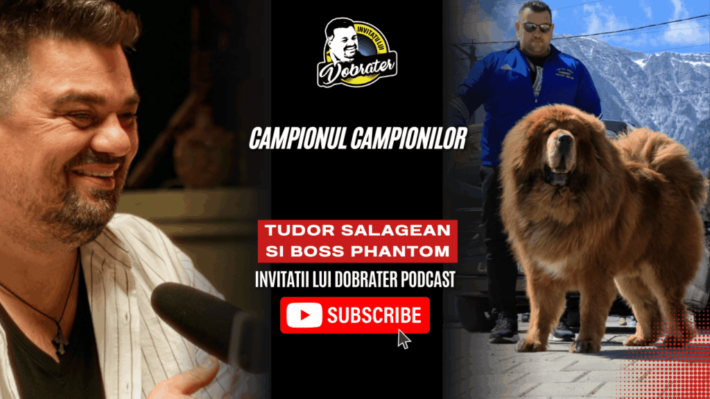 ep 14 tudor salagean si boss phantom